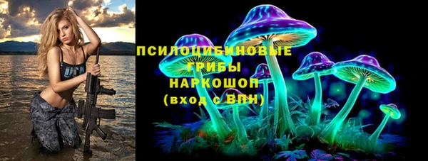 mdma Богородицк